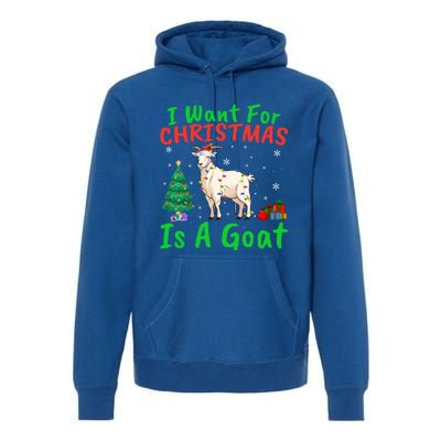 Xmas Lighting Santa Goat I Want For Christmas Is A Goat Gift Premium Hoodie