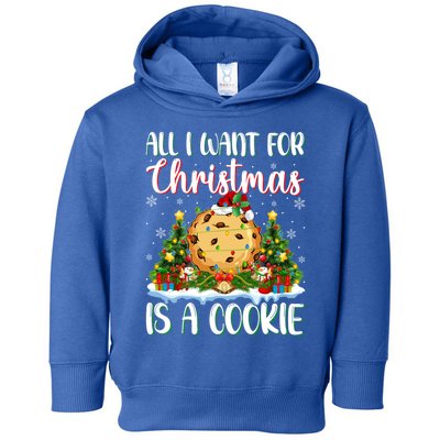 Xmas Lighting Santa All I Want For Christmas Is A Cookie Gift Toddler Hoodie