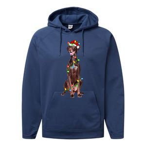 Xmas Lights Santa Hat Pointing Dog Christmas Performance Fleece Hoodie