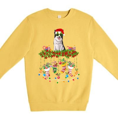 Xmas Light Santa Hat With Xmas Sock Border Collie Dog Lovers Gift Premium Crewneck Sweatshirt