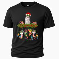 Xmas Light Santa Hat With Xmas Sock Border Collie Dog Lovers Gift Cooling Performance Crew T-Shirt