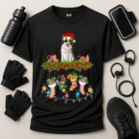 Xmas Light Santa Hat With Xmas Sock Border Collie Dog Lovers Gift Cooling Performance Crew T-Shirt