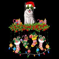 Xmas Light Santa Hat With Xmas Sock Border Collie Dog Lovers Gift Cooling Performance Crew T-Shirt