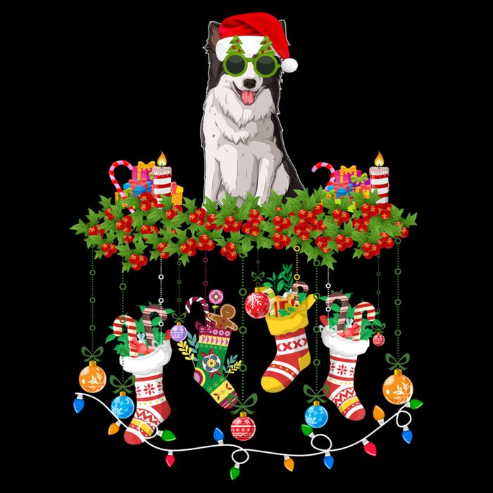 Xmas Light Santa Hat With Xmas Sock Border Collie Dog Lovers Gift Cooling Performance Crew T-Shirt