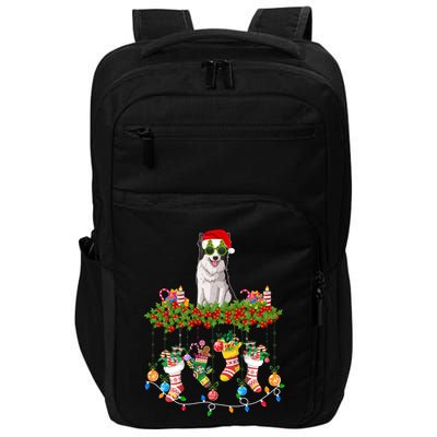 Xmas Light Santa Hat With Xmas Sock Border Collie Dog Lovers Gift Impact Tech Backpack