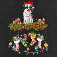 Xmas Light Santa Hat With Xmas Sock Border Collie Dog Lovers Gift Adult Drive Performance Visor
