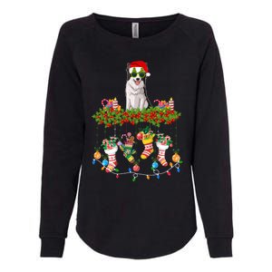 Xmas Light Santa Hat With Xmas Sock Border Collie Dog Lovers Gift Womens California Wash Sweatshirt