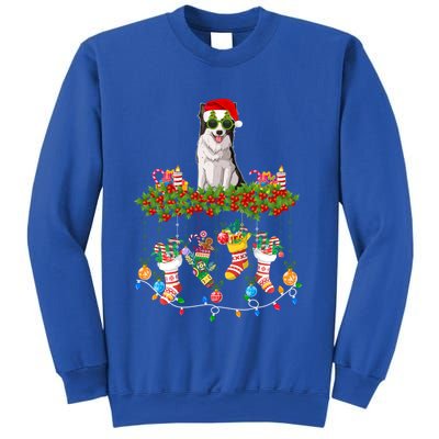 Xmas Light Santa Hat With Xmas Sock Border Collie Dog Lovers Gift Sweatshirt