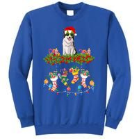 Xmas Light Santa Hat With Xmas Sock Border Collie Dog Lovers Gift Sweatshirt