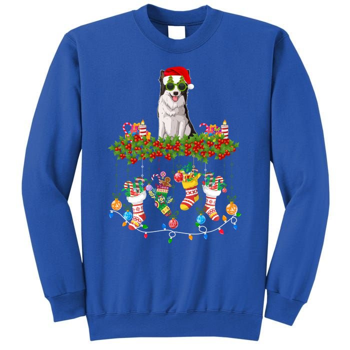 Xmas Light Santa Hat With Xmas Sock Border Collie Dog Lovers Gift Sweatshirt