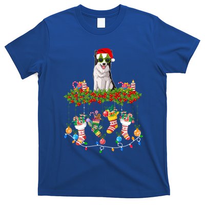 Xmas Light Santa Hat With Xmas Sock Border Collie Dog Lovers Gift T-Shirt