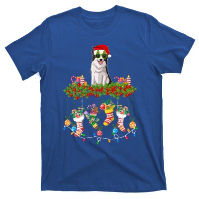 Xmas Light Santa Hat With Xmas Sock Border Collie Dog Lovers Gift T-Shirt