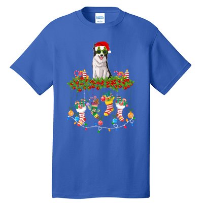 Xmas Light Santa Hat With Xmas Sock Border Collie Dog Lovers Gift Tall T-Shirt