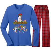 Xmas Light Santa Hat With Xmas Sock Border Collie Dog Lovers Gift Women's Long Sleeve Flannel Pajama Set 