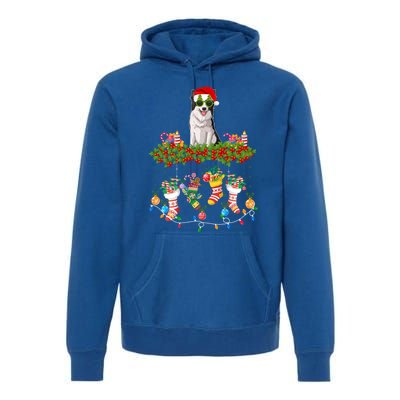 Xmas Light Santa Hat With Xmas Sock Border Collie Dog Lovers Gift Premium Hoodie