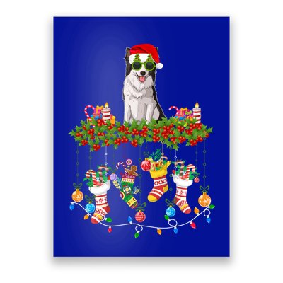 Xmas Light Santa Hat With Xmas Sock Border Collie Dog Lovers Gift Poster
