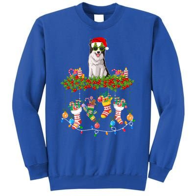 Xmas Light Santa Hat With Xmas Sock Border Collie Dog Lovers Gift Tall Sweatshirt