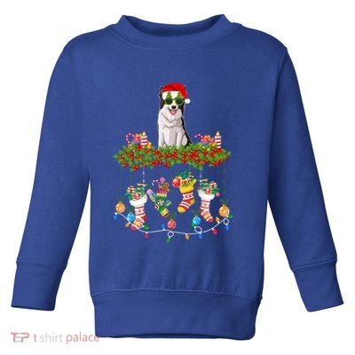 Xmas Light Santa Hat With Xmas Sock Border Collie Dog Lovers Gift Toddler Sweatshirt