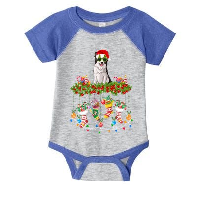 Xmas Light Santa Hat With Xmas Sock Border Collie Dog Lovers Gift Infant Baby Jersey Bodysuit