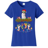 Xmas Light Santa Hat With Xmas Sock Border Collie Dog Lovers Gift Women's T-Shirt