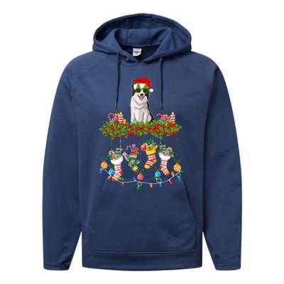 Xmas Light Santa Hat With Xmas Sock Border Collie Dog Lovers Gift Performance Fleece Hoodie