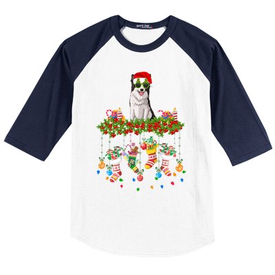 Xmas Light Santa Hat With Xmas Sock Border Collie Dog Lovers Gift Baseball Sleeve Shirt