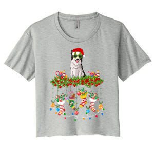 Xmas Light Santa Hat With Xmas Sock Border Collie Dog Lovers Gift Women's Crop Top Tee