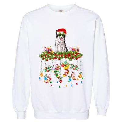 Xmas Light Santa Hat With Xmas Sock Border Collie Dog Lovers Gift Garment-Dyed Sweatshirt