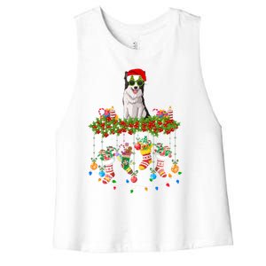 Xmas Light Santa Hat With Xmas Sock Border Collie Dog Lovers Gift Women's Racerback Cropped Tank