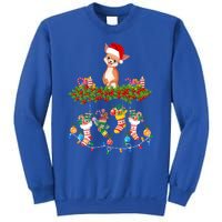 Xmas Light Santa Hat With Xmas Socks Chihuahua Dog Lovers Cool Gift Sweatshirt