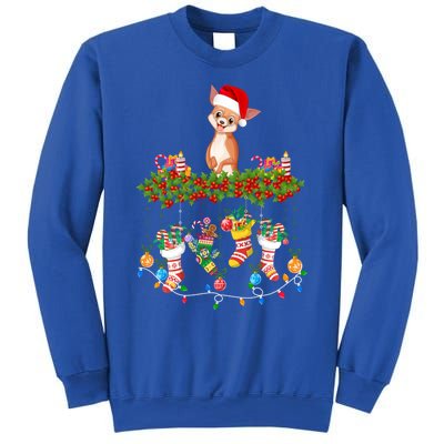 Xmas Light Santa Hat With Xmas Socks Chihuahua Dog Lovers Cool Gift Sweatshirt