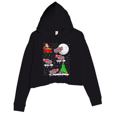 Xmas Lights Santa Riding Moo Deng Hippo Christmas Costume Crop Fleece Hoodie