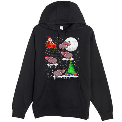Xmas Lights Santa Riding Moo Deng Hippo Christmas Costume Premium Pullover Hoodie