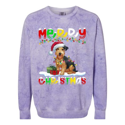 Xmas Lighting Santa Patterdale Terrier Dog Merry Christmas Colorblast Crewneck Sweatshirt