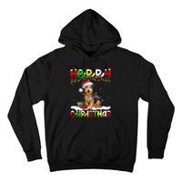 Xmas Lighting Santa Patterdale Terrier Dog Merry Christmas Hoodie