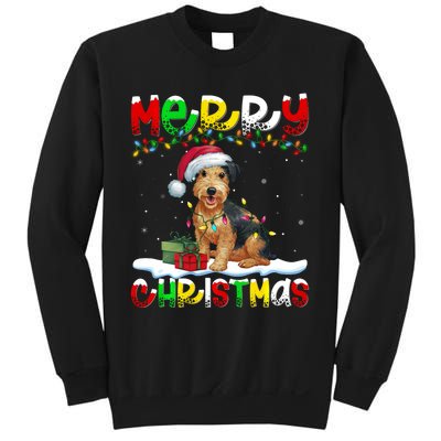 Xmas Lighting Santa Patterdale Terrier Dog Merry Christmas Sweatshirt