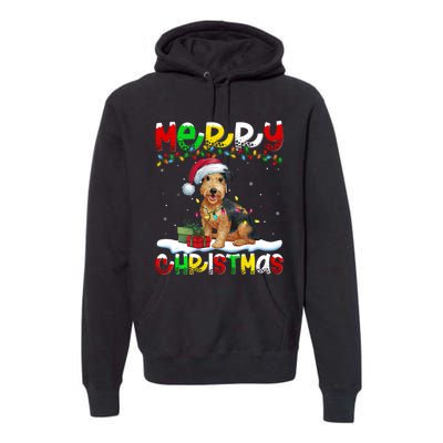 Xmas Lighting Santa Patterdale Terrier Dog Merry Christmas Premium Hoodie