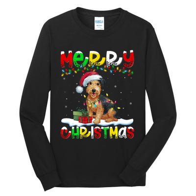 Xmas Lighting Santa Patterdale Terrier Dog Merry Christmas Tall Long Sleeve T-Shirt