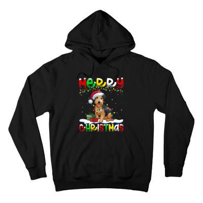 Xmas Lighting Santa Patterdale Terrier Dog Merry Christmas Tall Hoodie