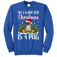 Xmas Lighting Santa All I Want For Christmas Is A Pug Meaningful Gift Sweatshirt