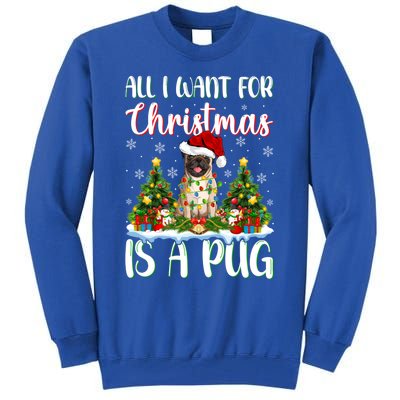 Xmas Lighting Santa All I Want For Christmas Is A Pug Meaningful Gift Tall Sweatshirt