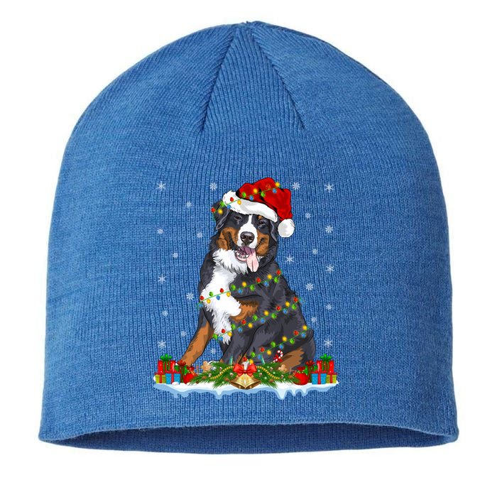 Xmas Lighting Santa Bernese Mountain Dog Christmas Gift Sustainable Beanie