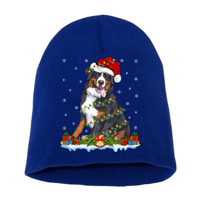 Xmas Lighting Santa Bernese Mountain Dog Christmas Gift Short Acrylic Beanie