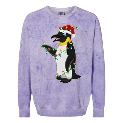 Xmas Lights Santa Hat Emperor Penguin Christmas Colorblast Crewneck Sweatshirt