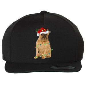 Xmas Lights Santa Hat Brussels Griffon Dog Christmas Wool Snapback Cap