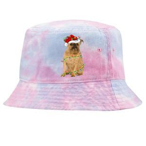 Xmas Lights Santa Hat Brussels Griffon Dog Christmas Tie-Dyed Bucket Hat