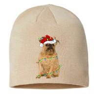 Xmas Lights Santa Hat Brussels Griffon Dog Christmas Sustainable Beanie