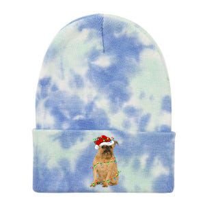 Xmas Lights Santa Hat Brussels Griffon Dog Christmas Tie Dye 12in Knit Beanie