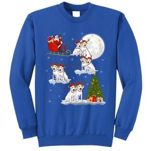 Xmas Lighting Tree Santa Riding Labrador Retriever Christmas Gift Sweatshirt