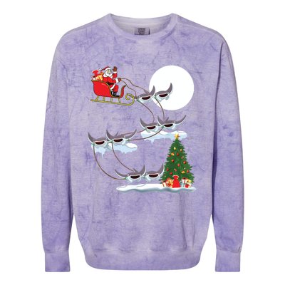 Xmas Lighting Tree Santa Riding Manta Ray Fish Christmas Colorblast Crewneck Sweatshirt